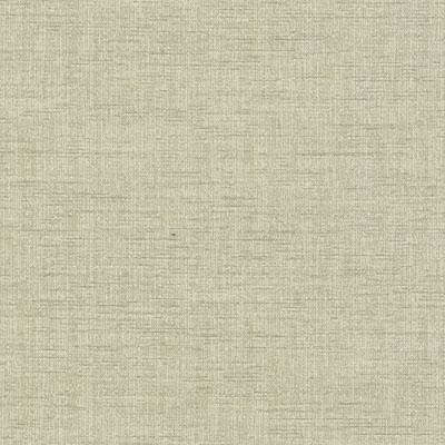 Duralee Plush Chenille Fabric