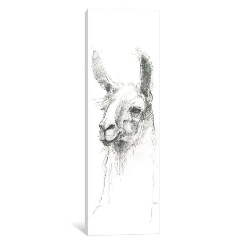 " Bianca Sketch " by Avery Tillmon, 16" H x 48" W x 1.5" D, Wrapped Canvas