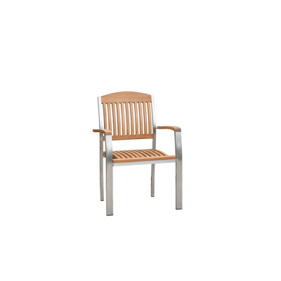 Bedina Outdoor Patio Dining Armchair
