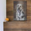 «Playtime» par Lori Deiter-1036925616