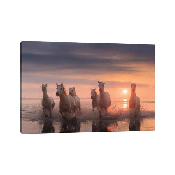 Brambly Cottage White Angels Of Camargue XII by Daniel Kordan - Wrapped ...
