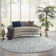 Yurig Ikat Indoor Rug