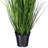 36" Artificial Potted Green Lemongrass-2136364901