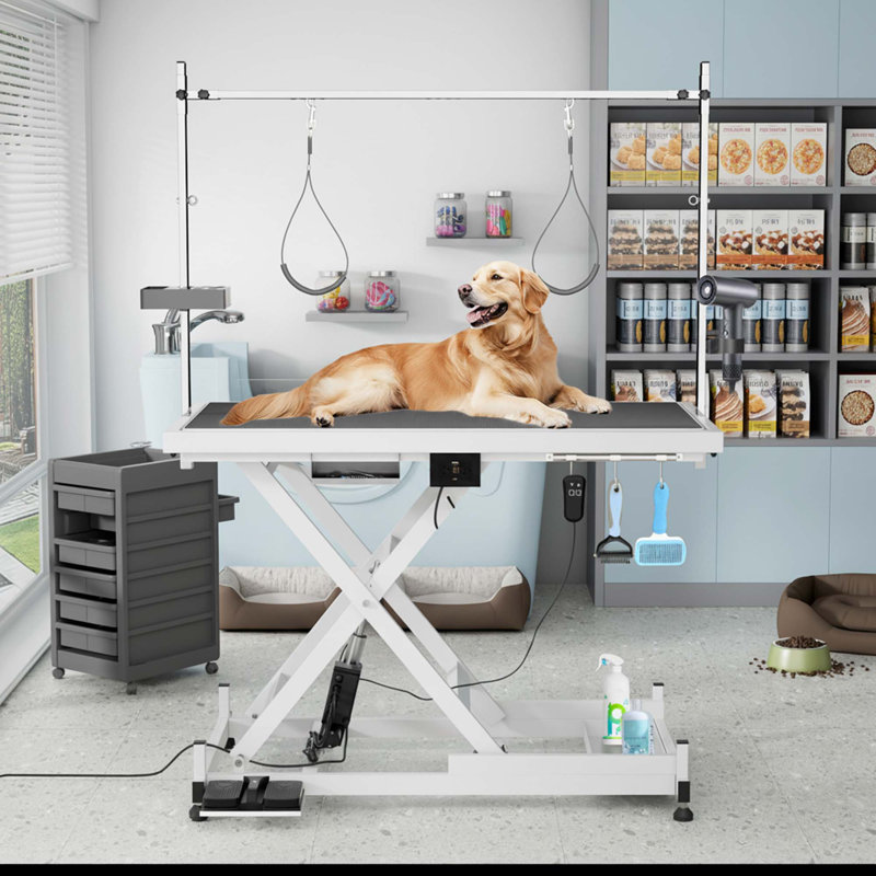 Electric Adjustable Pet Grooming Table, 110v/220v, Height Range 8-36 Inch, White, White