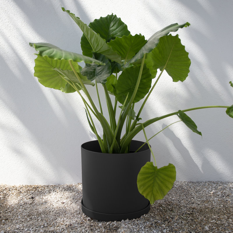 Modern Plastic Indoor/Outdoor Round Planter with Saucer, Black, 11.64" H x 13.08" W x 13.08" D