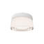 Balto I Dimmable LED Outdoor/Indoor Flush Mount With Built In Color Temperature Switch from 2700K/3000K/3500K/4000K-759780141-759780147