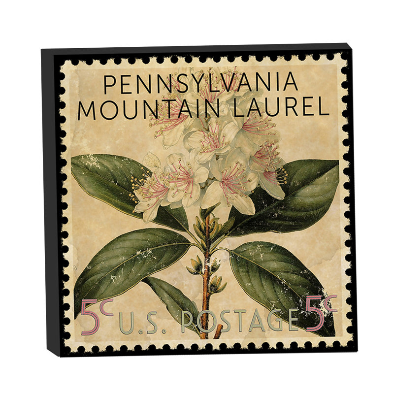 «Pennsylvania State Flower Mountain Laurel» par Grotto Studios