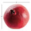 POMEGRANATE 4"
