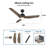 3 - Blade LED Smart Ceiling Fan with Light-101830622-91062341