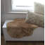 Tapis taupe Pembroke-820518731