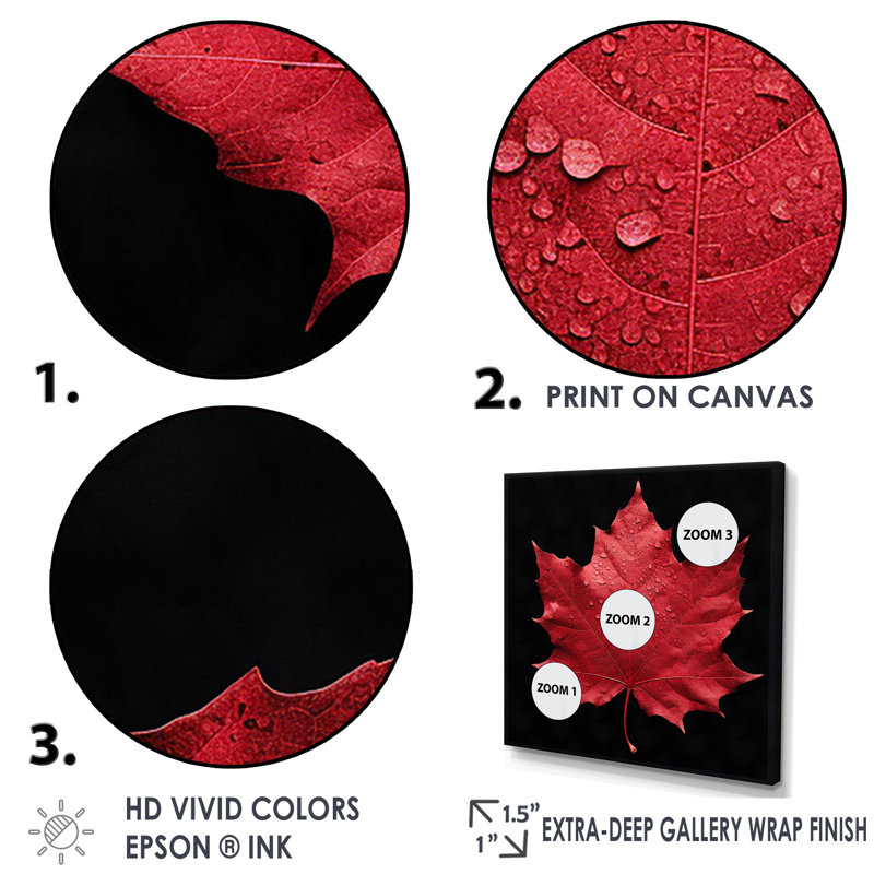 Red Leaves Red Ruby I, Cadre flottant doré, H 24 po x l 24 po x P 1 po