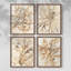 Parchemin corail I, ensemble de 4 reproductions encadrées