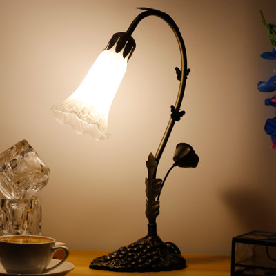Ambania Metal Desk Lamp