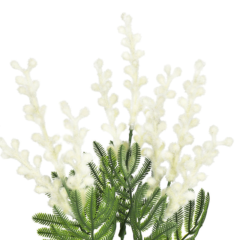 Acacia Mimosa en vaporisateur, Crème/Vert