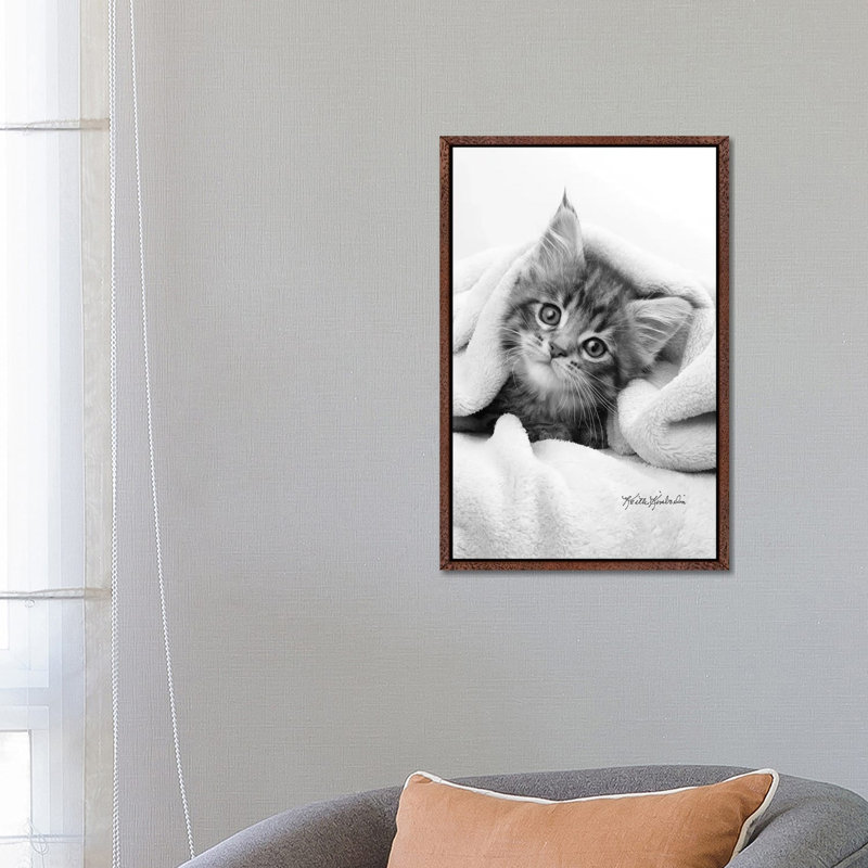 Bug In A Rug by Keith Kimberlin - Print on Canvas, Classic Brown Wood Framed, 66.04 cm H x 45.72 cm W
