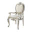 Bently Fabric & Champagne Finish Arm Chair (Set Of 2)