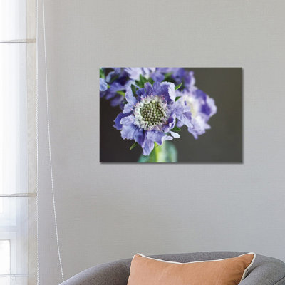 Purple Scabiosa by Lupen Grainne - Wrapped Canvas Print