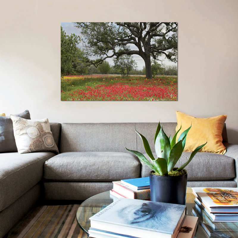 Drummond's Phlox Meadow Near Leming, Texas - reproduction de photo sur toile, H 18 po x l 26 po x P 1,5 po