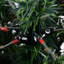 Christmas Tree with LEDs and Pine Cones Green Holiday Decor-842718540