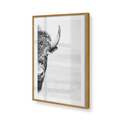 Wild Stare Print