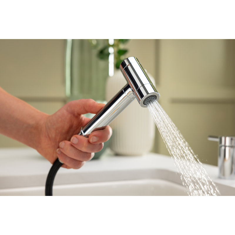 Click Modern Kitchen Hand Spray, Chrome