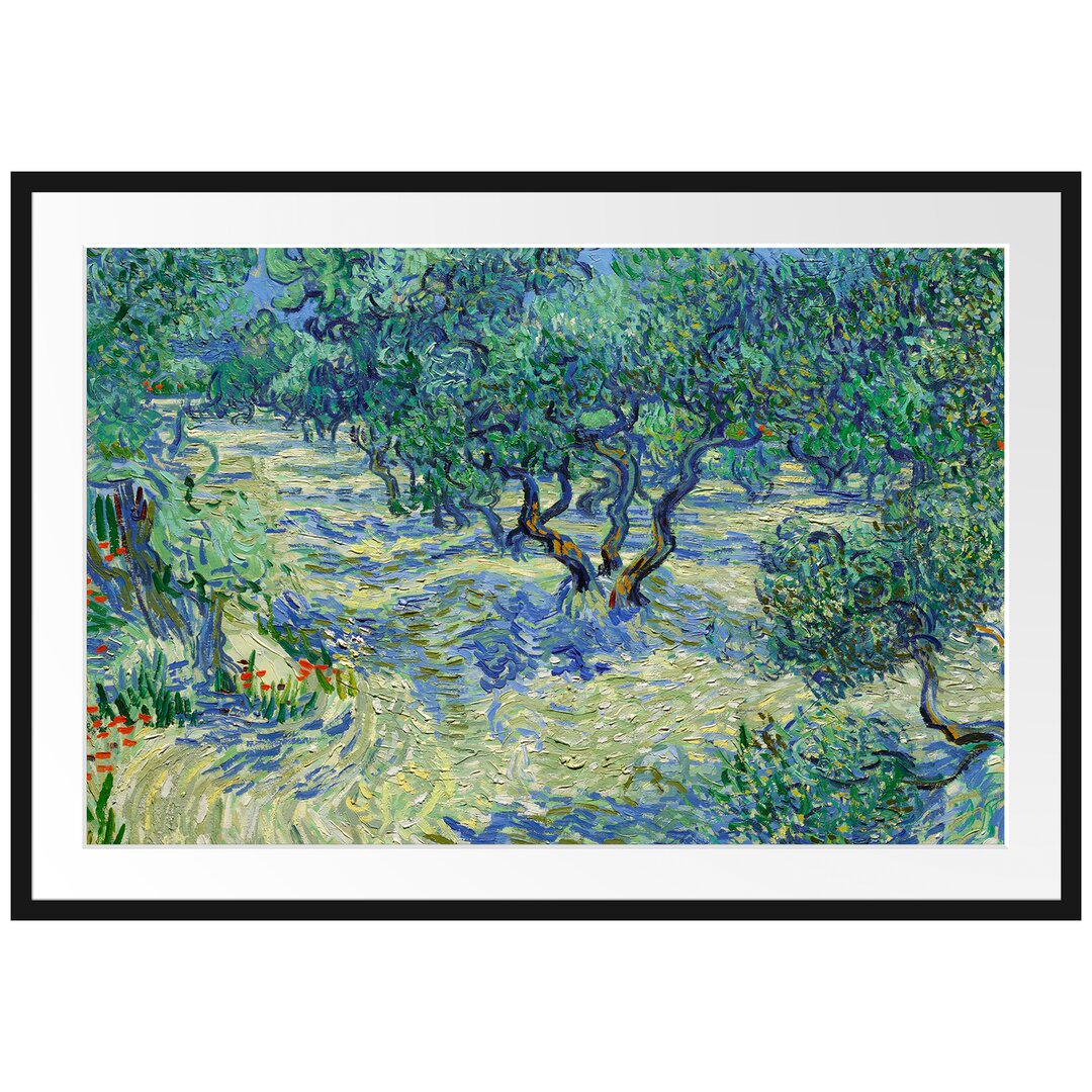 Gerahmter Kunstdruck Olive Field von Vincent Van Gogh