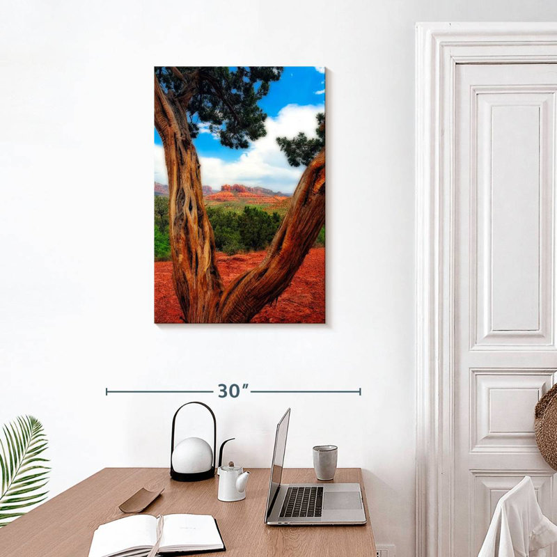 Aime Desert Reds, 30" H x 20" W
