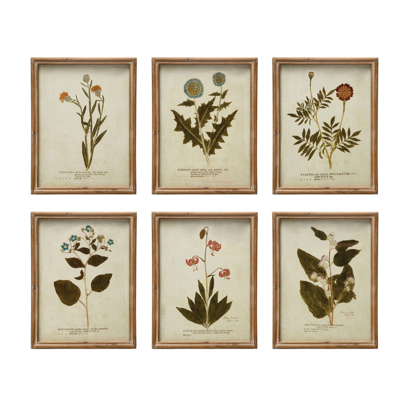 Portraits en bois d'imprimés botaniques
