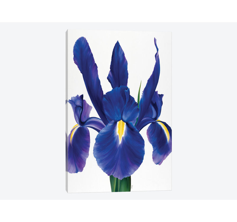 « purple floral i », impression sur toile, H 12 po x l 8 po x P 0,75 po, Toile tendue, Pas de tapis