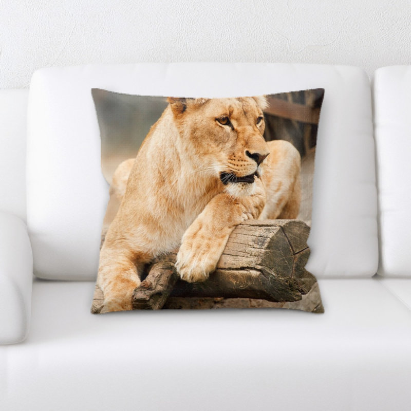 Coussin en afrique