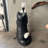 Cat Light Table Top Lamp Statue