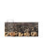Tapis Tanya Courtland-708771362