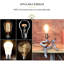 Tenterden Metal Novelty Lamp