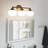 Bowersville 3-Light Dimmable LED Vanity Light