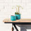 Phoenix Pot Planter - Set of 2-73484466