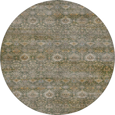 Premium Machine Washable Tirico Traditional Rug