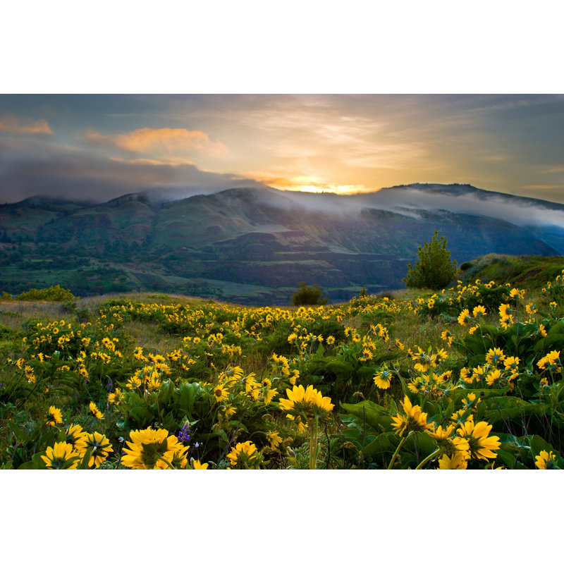Spring Wildflowers by Kevinjmills - Wrapped Canvas Print, 30cm H x 46cm W