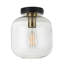 Veedersburg Glass Semi Flush Mount