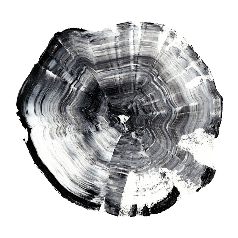 Tree Ring Abstract I by Ethan Harper - Wrapped Canvas Print, 51cm H x 51cm W