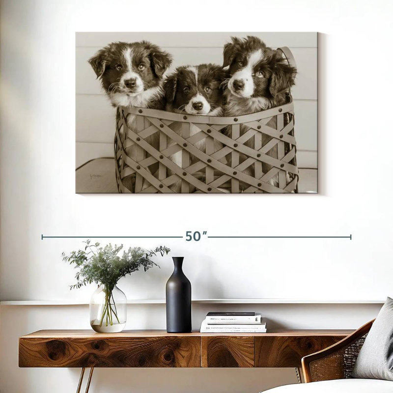 Brampt What A Cute Bundle, 26" H x 39" W