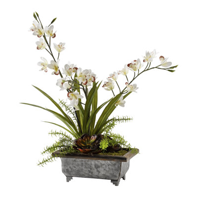 Orchid Arrangement in Planter