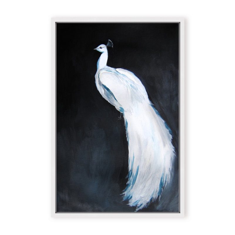 Nature Inspired Alabaster Majesty: White Peacock Against The Night, Framed Matted Print, 30" H x 24" W x 1.125" D, Black