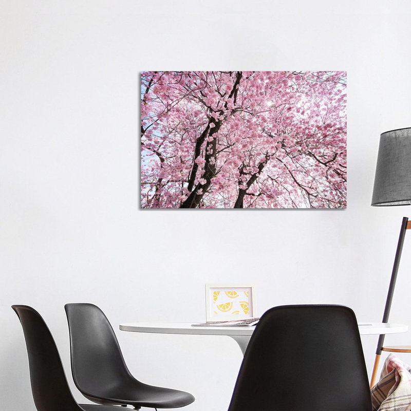 Cherry Blossom by Stefan Hefele - Wrapped Canvas Print, 101.6 cm H x 66.04 cm W x 3.175 cm D