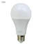 A60 Globe LED E27 12W Bulb 5PK-61471546