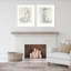«Embellished Contour - lot de 2» par Ethan Harper, impressions murales encadrées-59378791-59378790