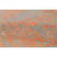 Oriental Area Rug