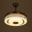 42'' Ceiling Fan with LED Lights