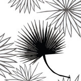 Cabbage Palm 10' L x 24" W Peel and Stick Wallpaper Roll