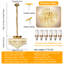 6 - Light Chandelier