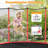 Jennie 5' Trampoline with Safety Enclosure
